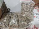 碧幽四方重庆特产野生老鹰茶2026头采新茶四川巴渝老荫茶红白茶火锅凉茶叶 老鹰荫茶5000克 10袋 实拍图
