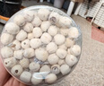 十月稻田 莲子 250g 半斤 湘潭产去芯磨皮白莲子 桂圆百合银耳羹煲汤食材  实拍图