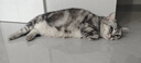 麦富迪猫零食猫冻干猫咪零食冻干桶成幼猫通用冻干磨牙零食 冻干牧场狂欢桶（500g） 实拍图