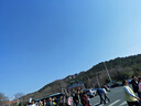 瑞泓祥银针烟花耳钉女轻奢小众高级感气质耳环2026新款爆款耳饰 【999银针】小号烟花耳钉 实拍图