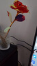 七彩炫光玫瑰花星空彩金浪漫情人节七夕送老婆女友生日礼物金箔 彩金红玫瑰花 【送它一朵永不凋零的爱意玫瑰】 实拍图