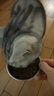 弗列加特猫粮  80%鲜肉含量全价高肉天然粮  老年猫猫粮鸡肉味2kg 实拍图