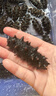 海晏堂 大连淡干海参 100g 28-36只辽刺参海参滋补干货礼盒年货送礼海鲜 实拍图