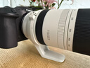佳能（Canon）RF100-500mm F4.5-7.1 L IS USM 超远摄变焦镜头【滤镜防护套装】 实拍图
