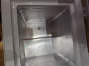 荣事达（Royalstar）小冰柜家用小型冷冻保鲜迷你冷藏商用卧式冷柜单用储母乳柜节能省电 【万人推荐 一级节能】单温 58L 实拍图