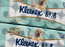 舒洁（Kleenex）舒洁绿茶洋甘菊有芯卷纸3层10卷*2提 双色印花进口原木浆柔软亲肤 实拍图