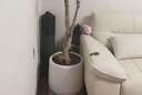 花盆绿植盆栽百搭欧式创意型树脂花盆阳台户外龟背竹绿植大花盆 酒杯盆300【33.5*41】送移动托 一套装 实拍图