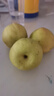 京鲜生 新疆库尔勒香梨 净重10斤 特级 单果120g以上 生鲜水果 实拍图