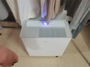 美的（Midea）与辉同行同款除湿机 100㎡家用回南天干衣智能抽湿机 别墅地下室泵压上排水  工商业除湿器 实拍图