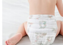贝肽斯尿布婴儿纱布一体式固定带尿戒子可水洗尿布片15-30斤用XL码4条装 实拍图