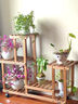 华观家居（Home Giving Furniture）多层实木花架阳台置物架室内花架子客厅落地式多肉绿萝花盆植物架 B款碳色带轮 实拍图