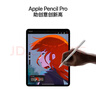 Apple/苹果 Pencil Pro 磁吸触控笔手写笔苹果笔电容笔书写绘画ipad笔 适用于iPad Pro/Air/mini机型 实拍图