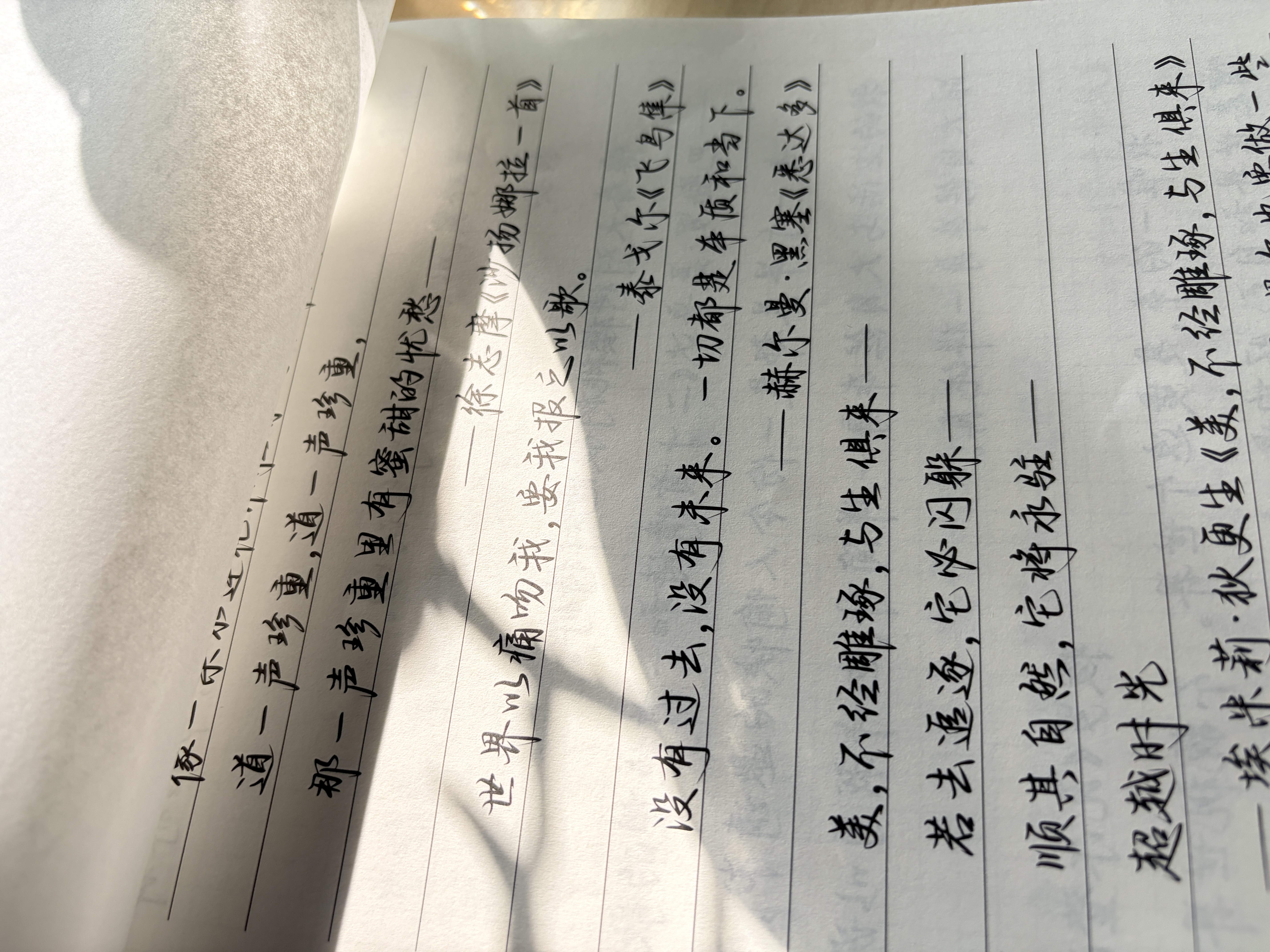 华夏万卷行楷手写体练字帖成人练字女生字体漂亮成年人专用练字本静心练字帖初中生高中生钢笔速成 2本 实拍图