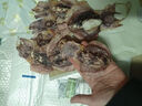 赶海弟 五星5A墨鱼干200g6-10只 乌贼目鱼 南北干货年货节 源头直发包邮 实拍图