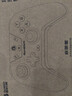 盖世小鸡（GAMESIR）启明星无线游戏手柄switch2手柄 手机安卓苹果PC电脑NS2pro蓝牙特斯拉电视steam双人成行仁王3 实拍图