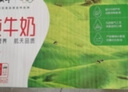 蒙牛全脂纯牛奶250ml*24盒 年货礼盒 电商定制 新老包装随机发货 实拍图