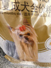 皇家狗粮 约克夏成犬狗粮 宠物小型犬 PRY28 全价犬粮 10月-8岁 1.5KG 实拍图