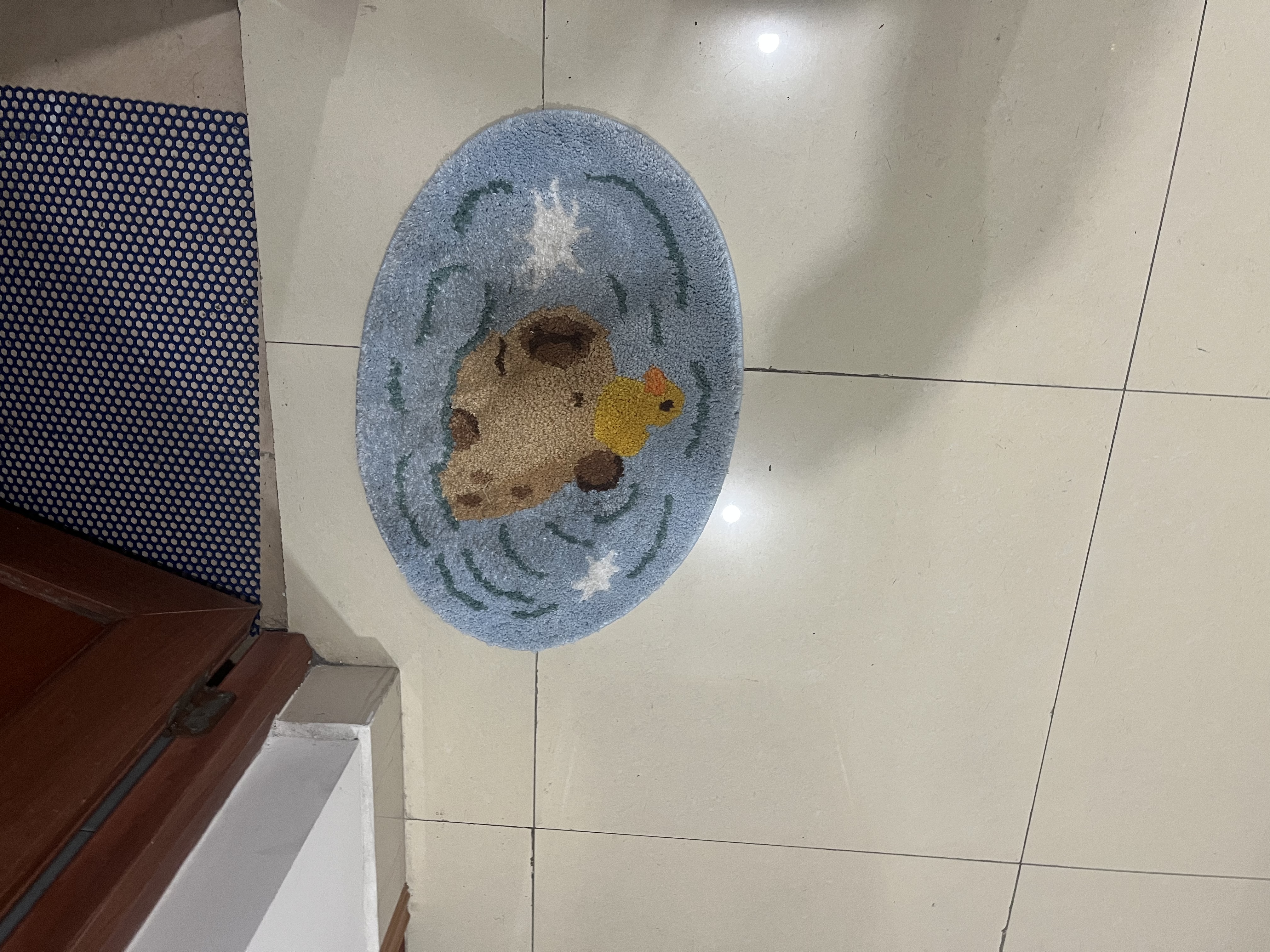 闪垫防滑脚垫小地毯浴室门口吸水地垫厕所进门毛绒地毯淋浴间可爱垫子 实拍图
