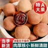 桂圆干16A特级大果2025年新货核小肉厚福建龙眼干特产年货 14A中果【百年老树】 2500克（五斤超值装） 实拍图