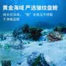獐子岛 冷冻鲍鱼300g 6粒 去脏去膜红烧料包 火锅煲汤海鲜水产生鲜食材 实拍图
