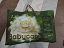 babycare金山茶花拉拉裤XL34片(12-17kg)婴儿尿不湿超薄透气新生柔花苞裤 实拍图