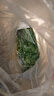 带根香菜100g 实拍图