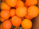 京鲜生 冰糖橙/橙子 5斤装 单果150-200g 生鲜水果年货礼盒 实拍图