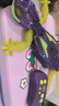赫宝（HEXBUG）【会动的科学】机器虫仿生机器虫机械虫遥控动物儿童玩具壁虎 【夜光攀爬壁虎】夜光升级 飞檐走壁 机器虫 实拍图