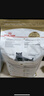 皇家猫粮 英短成猫粮 BS34 通用粮 12月以上 10KG 实拍图
