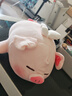名创优品（MINISO）小猪B-BO翅膀款趴毛绒公仔玩具玩偶抱枕娃娃靠枕生日礼物女 实拍图