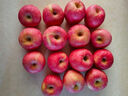 甜醉了 烟台苹果栖霞红富士新鲜水果生鲜山东特产脆甜整箱平果礼盒礼品 红富士净重4.5斤75-80mm 实拍图