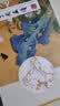 墨点美术 芥子园画谱彩色教程 芥子园画谱白话文精装版全集无删减正版包邮芥子园画传王概著巢勋临本国画临摹画册 实拍图