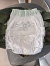 babycare金山茶花婴儿拉拉裤试用装XL码3片(12-17kg)尿不湿【新老混发】 实拍图