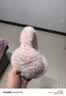 GOLOVEJOY高乐捷儿童耳罩冬季保暖小孩护耳朵防冻男女童毛绒耳捂子耳包樱粉 实拍图
