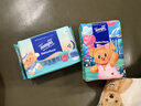 得宝（TEMPO）黄油小熊联名 湿巾 8片*6包 杀菌率99.9%湿纸巾 便携款 卫生湿巾 实拍图