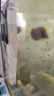 森森 小鲤鱼缸过滤器净水循环三合一内置水族箱过滤系统XQP-500F 6W 实拍图