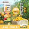 一甸园100%刺梨汁小青柠汁复合果蔬汁饮料果汁200ml*10礼盒装一日量维C 实拍图