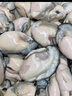 海鲜世家冷冻生蚝肉净重1.6斤 60-70只/袋牡蛎肉火锅烧烤食材海鲜年货送礼 实拍图