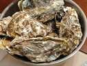 鲜京采 鲜活生蚝5XL 净重5斤 9-12只 鲜活到家 海鲜 源头直发 年货送礼 实拍图
