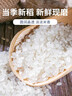 老娘舅大米 2025年新米 蟹田香稻米 10斤 珍珠米 粳米 实拍图