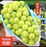 阳光玫瑰葡萄晴王青提香水提子山西新鲜水果一斤也是批发价 带箱5斤大果【单果克重10g-20g】（净重约4.5斤） 实拍图