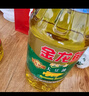 金龙鱼 食用油 非转基因 压榨 东北风味 浓香笨榨熟豆油 5L 实拍图