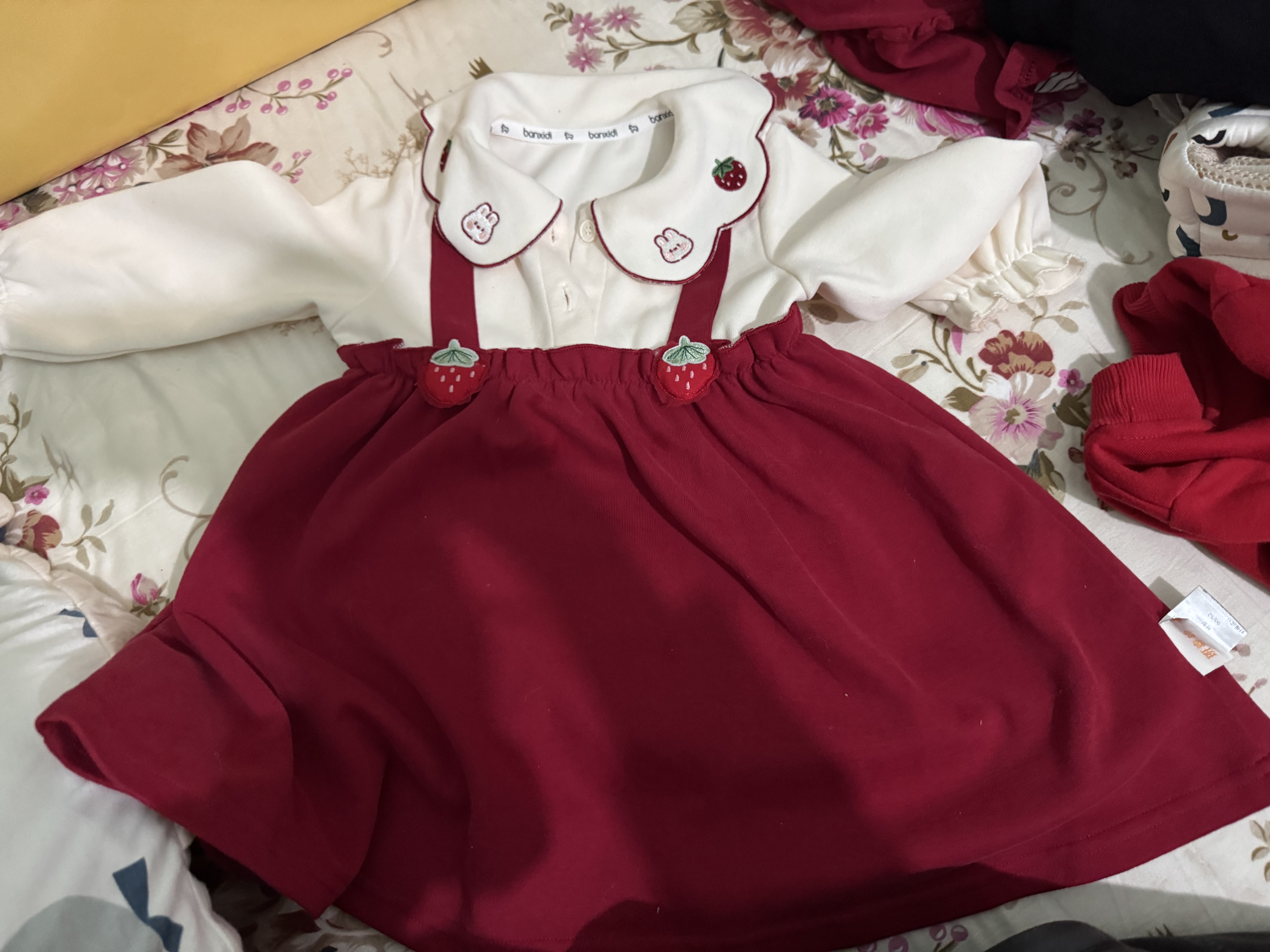 班喜迪女童连衣裙秋装2026新款洋气宝宝背带公主裙周岁礼服婴儿裙子春秋 实拍图