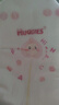 好奇（Huggies）铂金装小桃裤纸尿裤NB84片(5kg以下)尿不湿【透爽散热】 实拍图