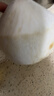 佳农泰国进口椰青9粒装 单果900g+ 赠开椰器吸管 生鲜水果礼盒 包邮 实拍图