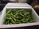 京鲜生 云南新鲜甜豆 带壳食用 清香甜脆 加冰保鲜发货净重5斤源头直发 实拍图