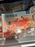 鱻谣花雕熟醉蟹3两母蟹 4只装 800g固形物≥75% 大闸蟹螃蟹海鲜预制菜 实拍图