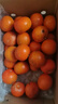 尔蝶广西沃柑新鲜橘子当季时令水果桔子整箱砂糖蜜橘柑橘应季水果礼盒 精选9斤装 净重8.5斤 大果60-70mm 实拍图