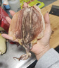 北海印象北海淡干墨鱼干乌贼目鱼干海产干货煲汤食材 端午节送礼礼品团购 M3墨鱼干250g*1袋约5-7只 实拍图