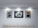 集简季客厅装饰画沙发背景墙挂画现代简约麋鹿三联挂画高档壁画  实拍图